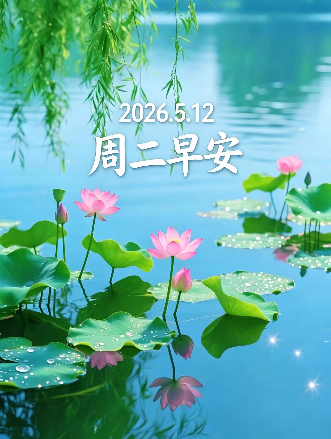 “5.12”[玫瑰][福]早上好[招财进宝][大笑]
友友们：照顾好自己，美景鲜