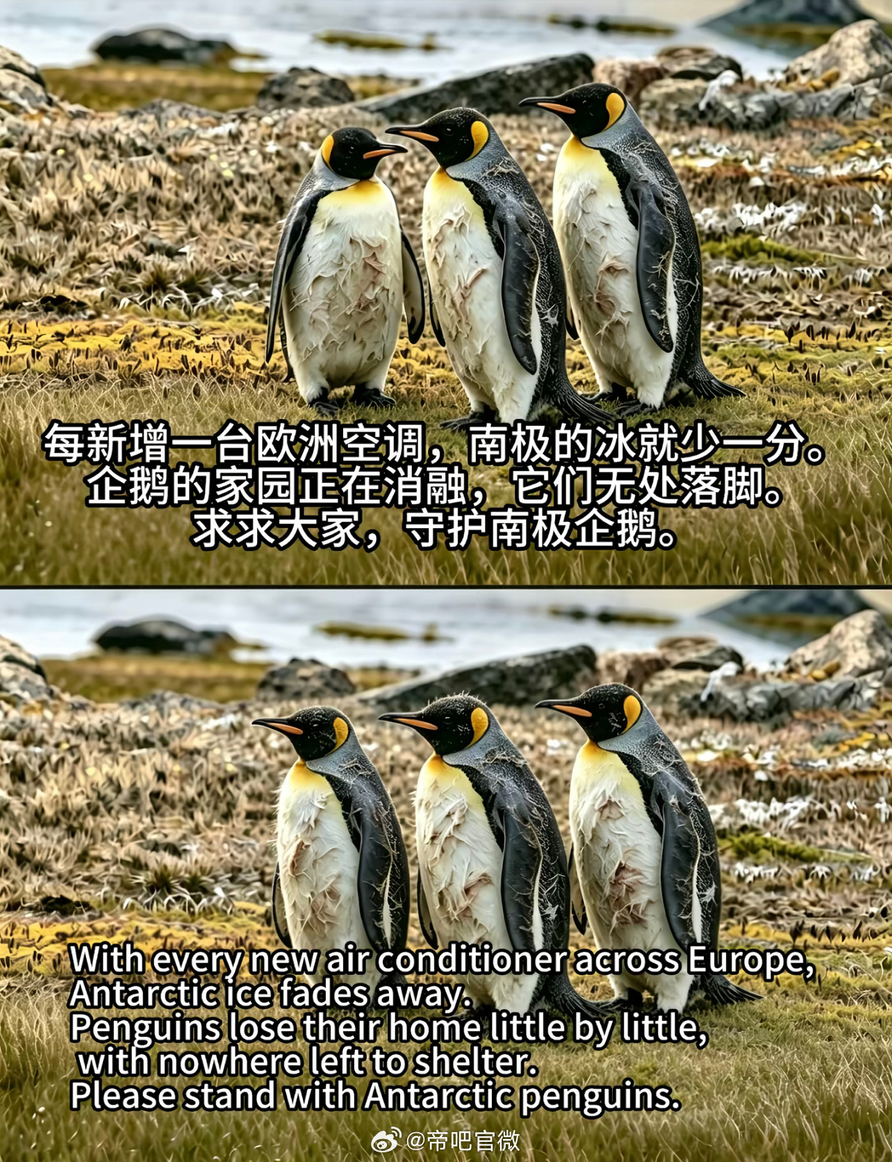 欧洲每多吹一丝冷风，南极就多流一滴泪；欧洲每多一台空调运转，北极的冰层便又少了一