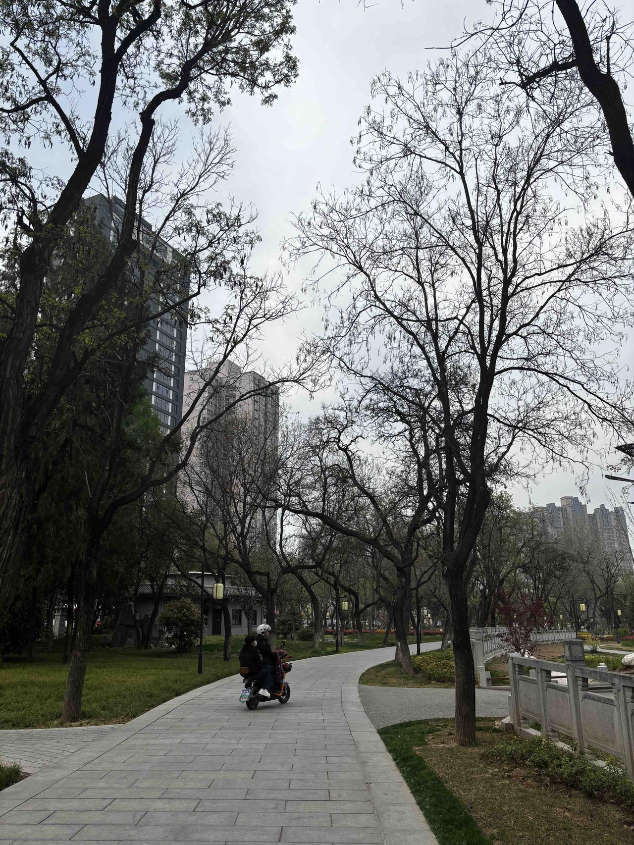 最近去公园遛弯，感觉这次的改造可圈可点：鲤鱼喷泉拆掉了周围的水泥池子，焕新升级！