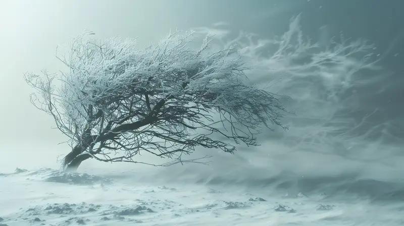 在能源供应方面，极端的寒冷天气使得电力需求急剧增加，而暴风雪又破坏了不少输电线路