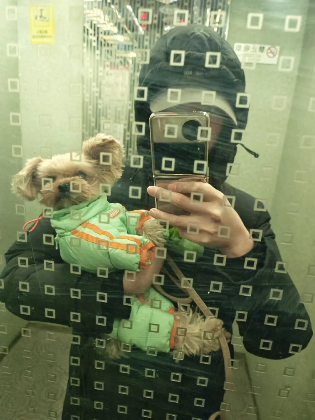 最好的电梯自拍搭子🤳
