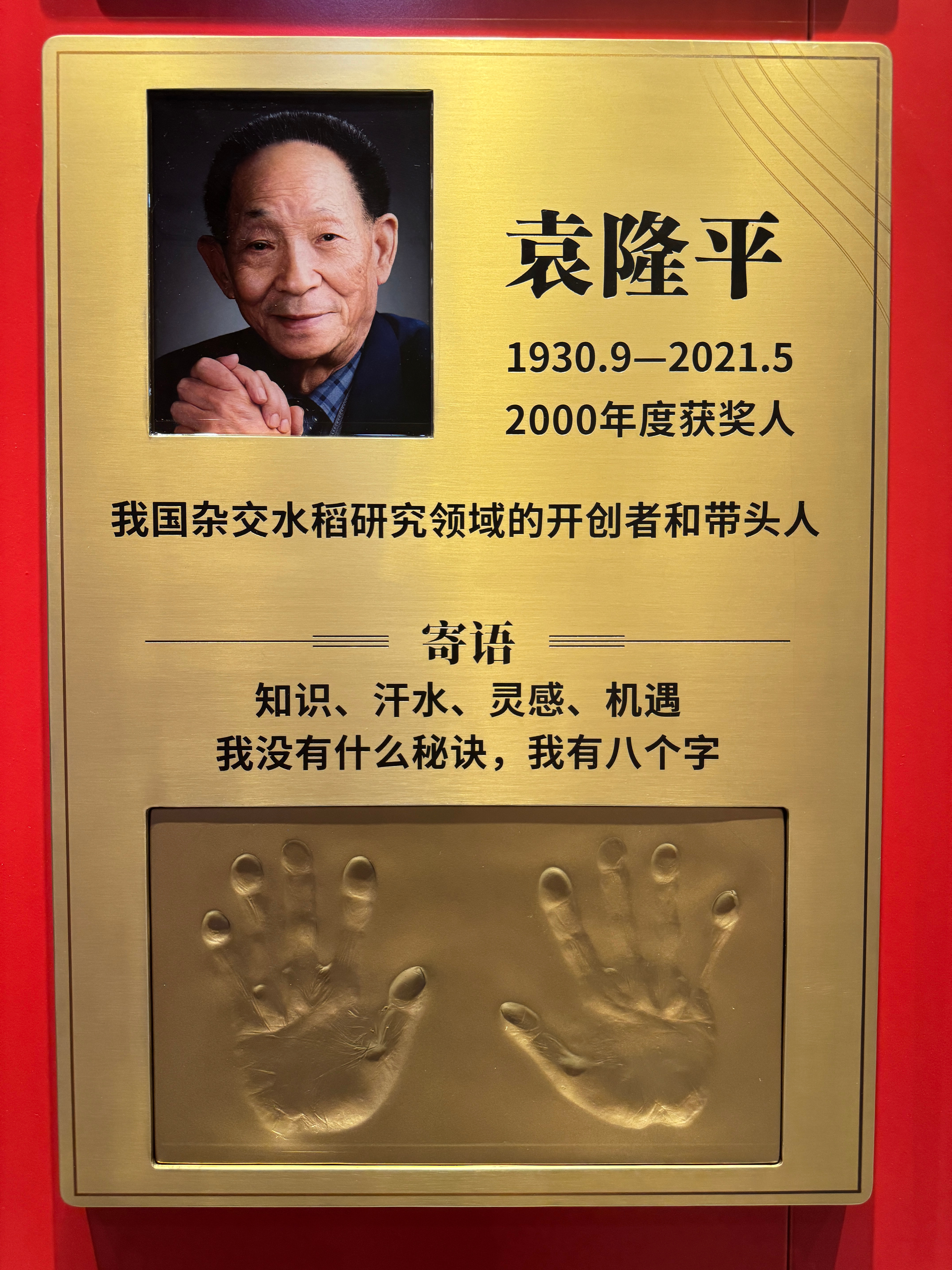 这才是国人最该追的星，致敬袁隆平院士！ 