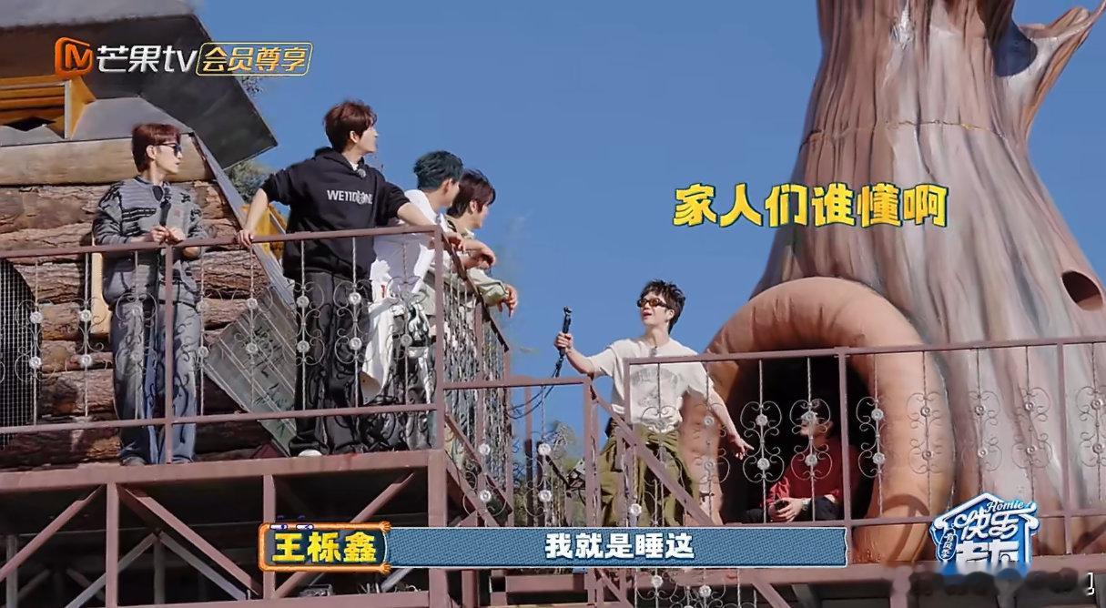 王栎鑫遇到梦中情房了王栎鑫一句想住树上，就真有了巨型树屋这个梦中情房，巨型树屋，