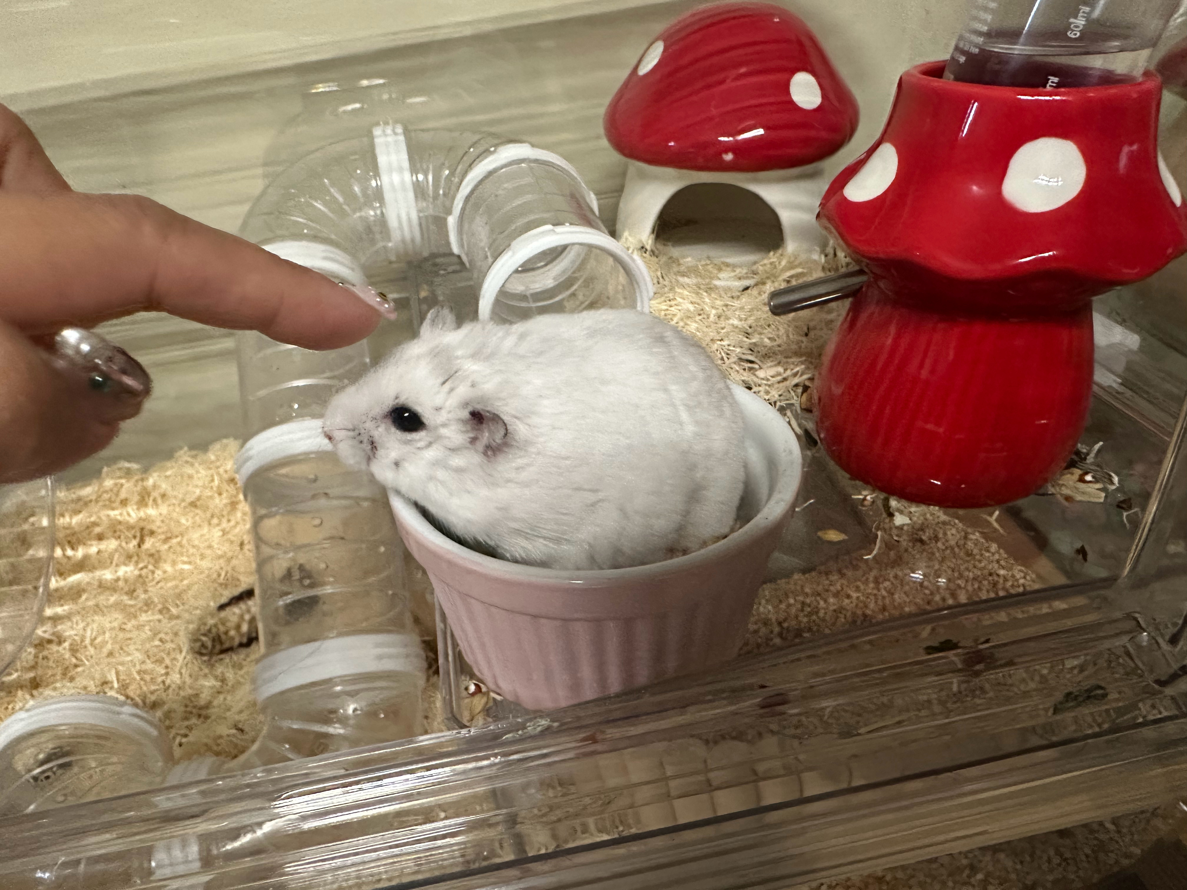 这个小家伙快一岁了 