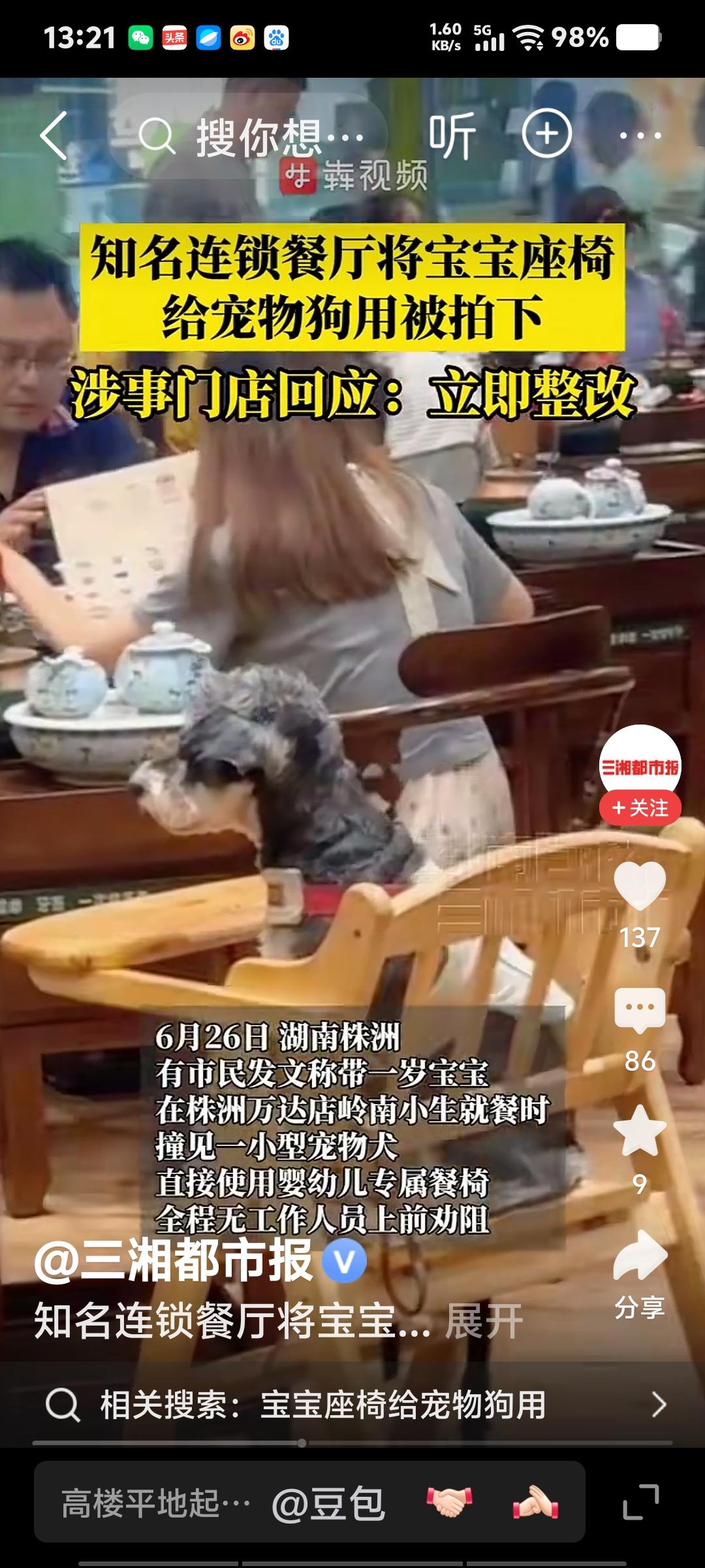 狗模人样！餐厅宝宝椅岂可让狗占据
6月26日，株洲有市民发文称，带一岁宝宝在株洲