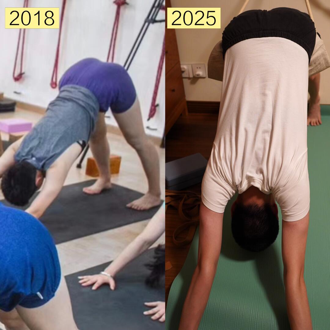 历经7年，下犬式的蜕变