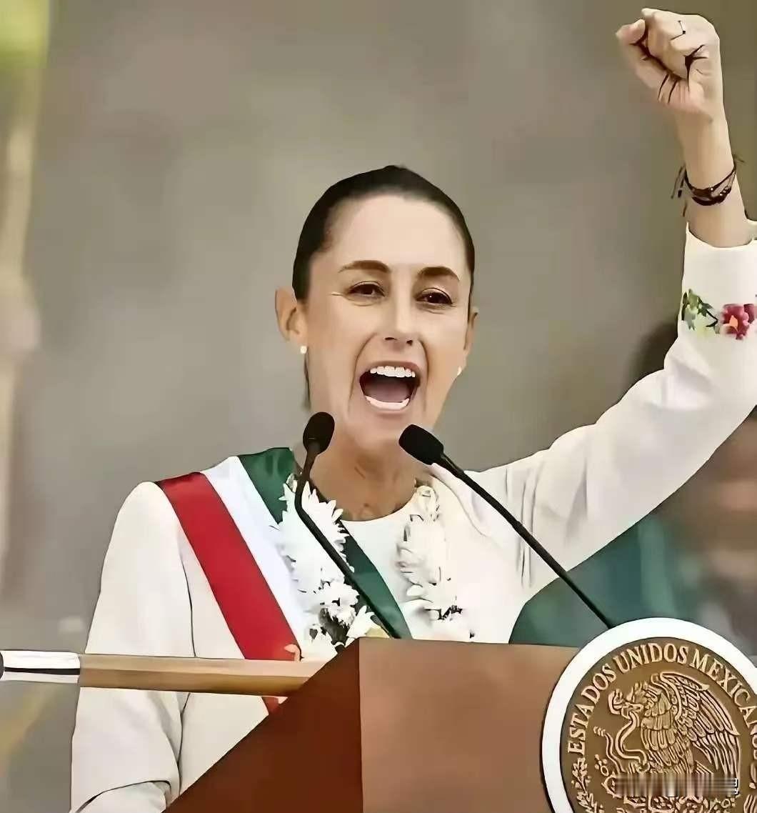 墨西哥总统消息，

5月2日传来一则大快人心的硬核消息，面对美国政府施压要求引渡