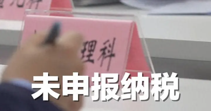 陈震用空壳工作室偷税