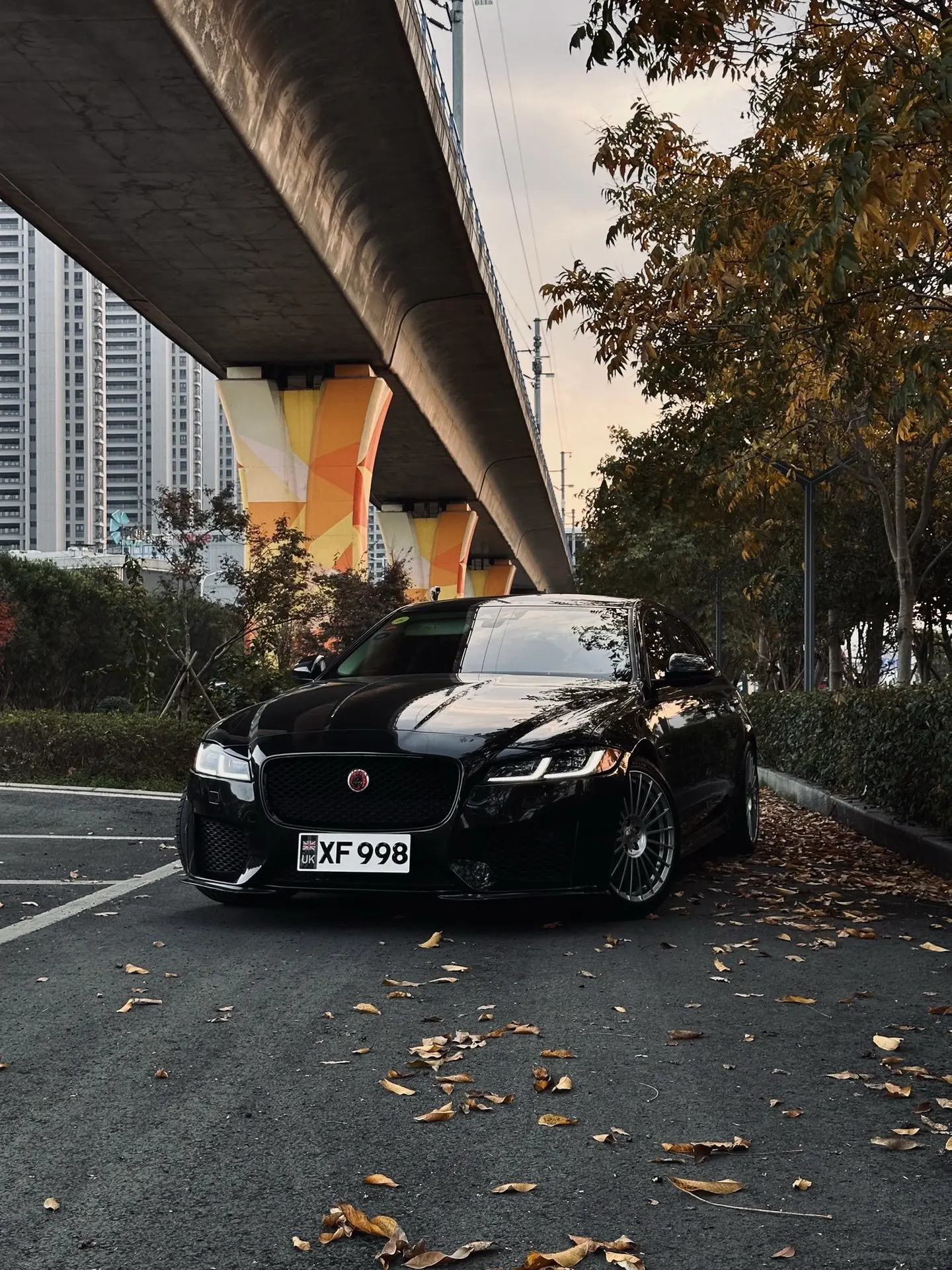 撸车，让男生的快乐有处安放。