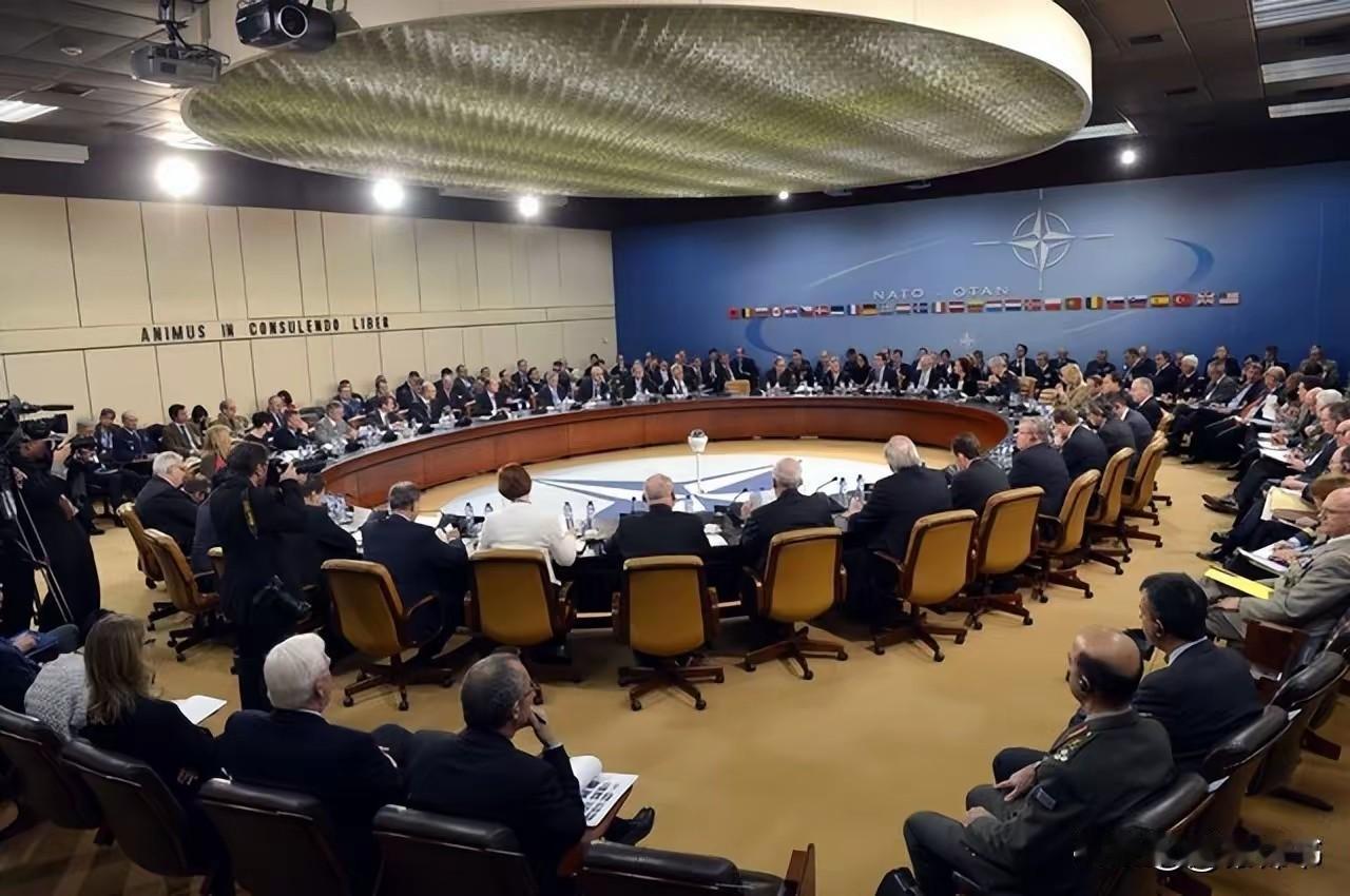 技术白给，钱也能送？30国联军开出诱人条件，背后却暗藏致命杀机！

8月24日乌