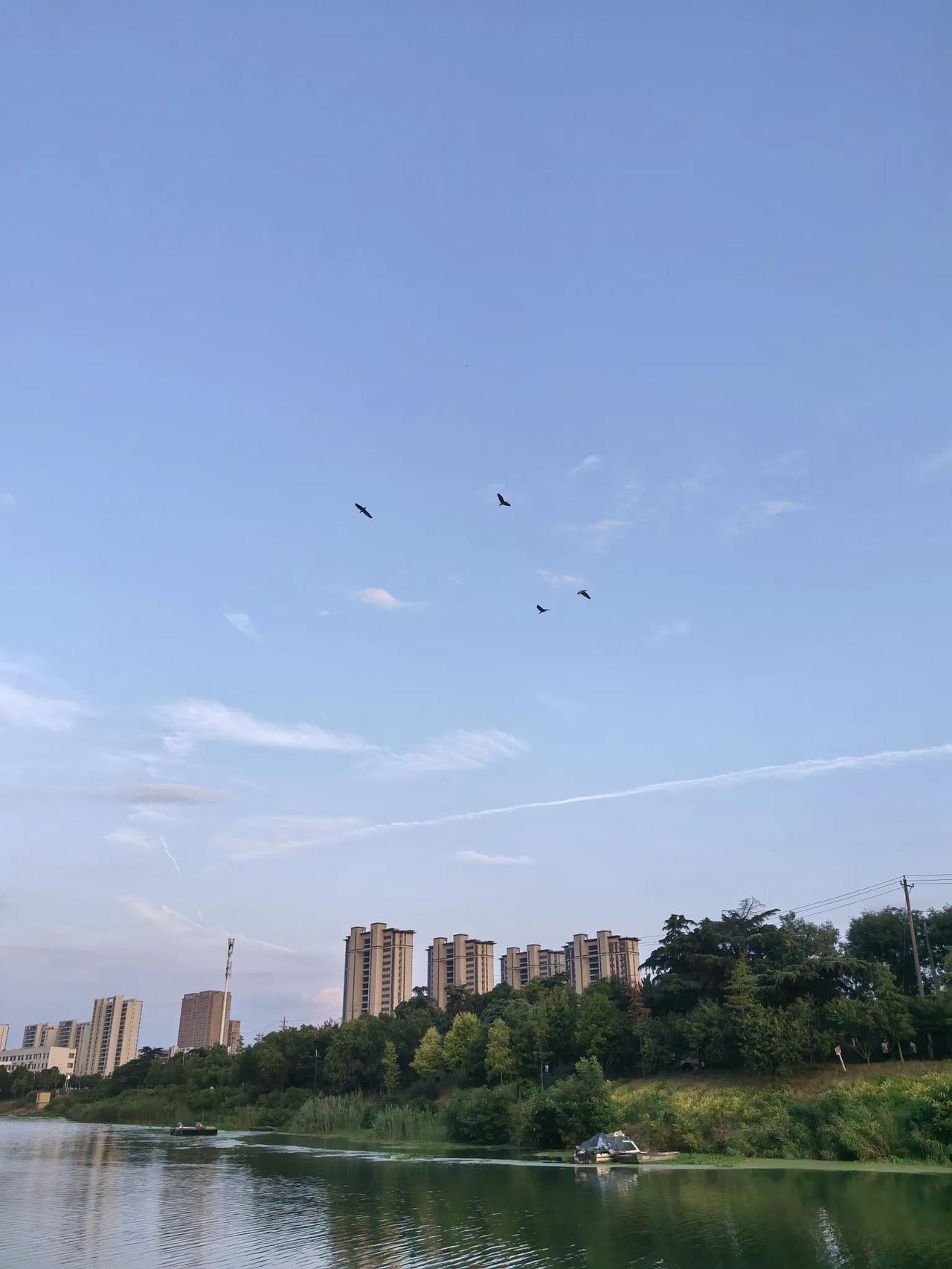 《送杜少府之任蜀州》唐·王勃
城阙辅三秦，风烟望五津。
与君离别意，同是宦游人。