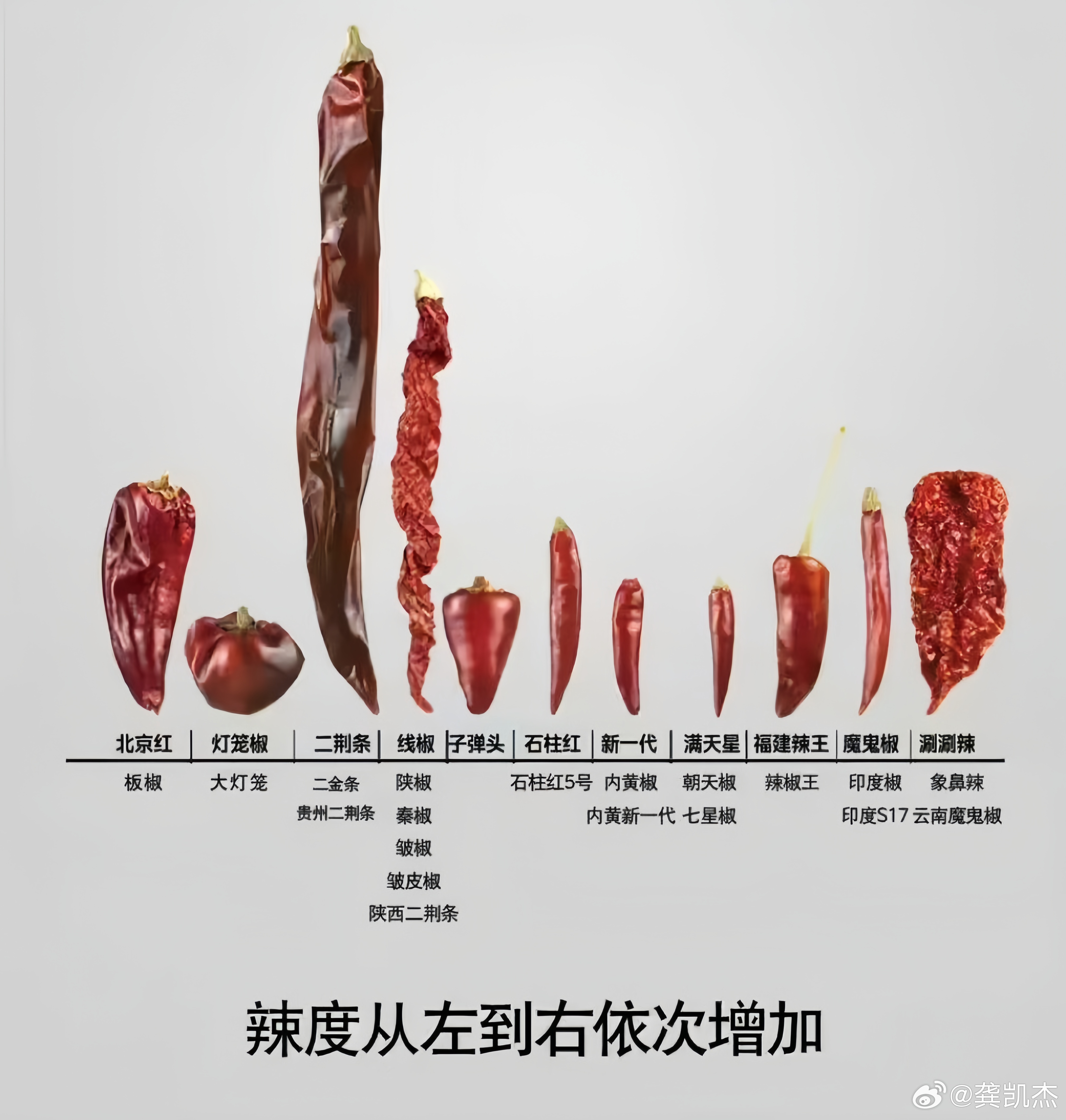 辣度从左到右依次增加，你能接受到哪个级别的辣度？ ​​​