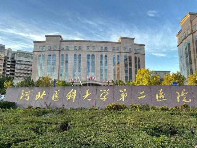 11年蛀空一家三甲医院！1.84亿贪腐流水曝光，看懂百姓看病贵真相