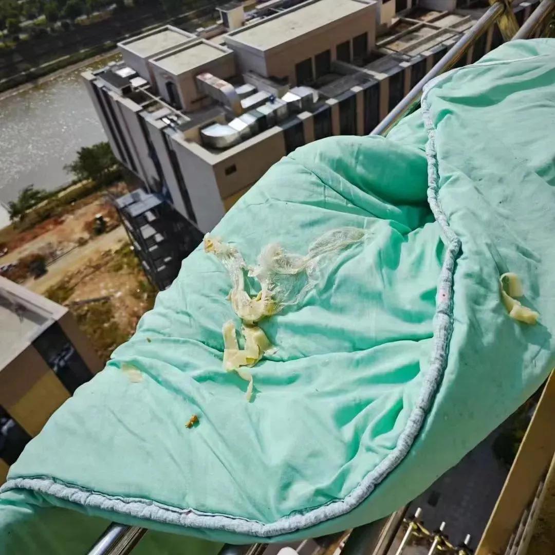 这种算不算高空抛物？
拍照留存，是不是可以去物业投诉，报警处理？
虽然这次受伤的