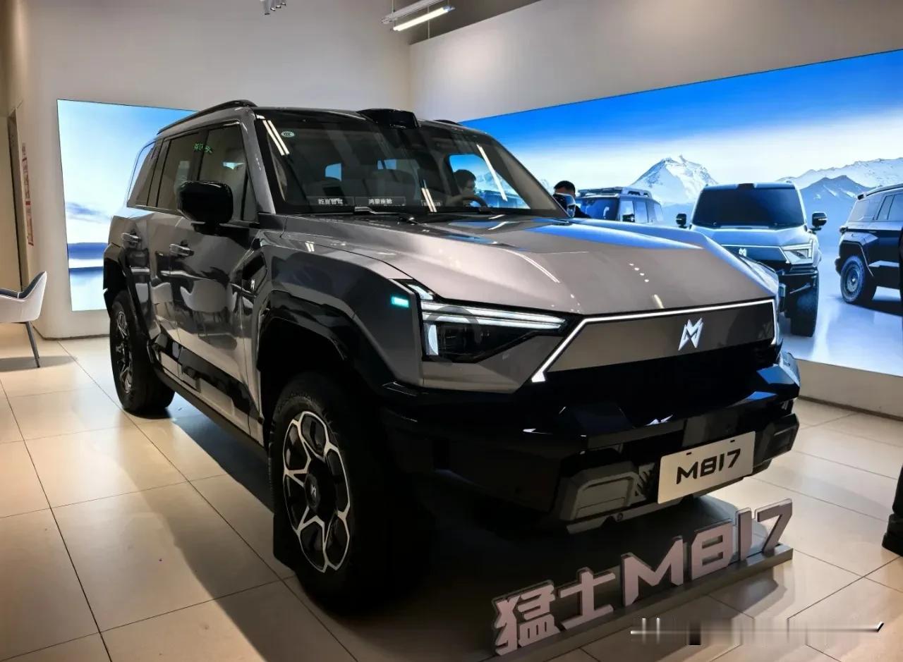 2026年新能源汽车发展现状及趋势：
①纯电动汽车完全由电机驱动，动力电池为唯一