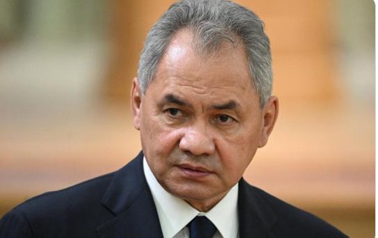 【谢尔盖·绍伊古——俄罗斯前国防部长和普京最亲密的盟友之一——警告芬兰和波罗的海