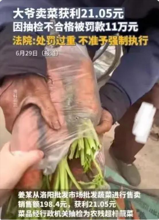罚款不成，还想“抄家”！洛阳，一大爷卖菜赚21元，被罚110000元。未缴罚款，