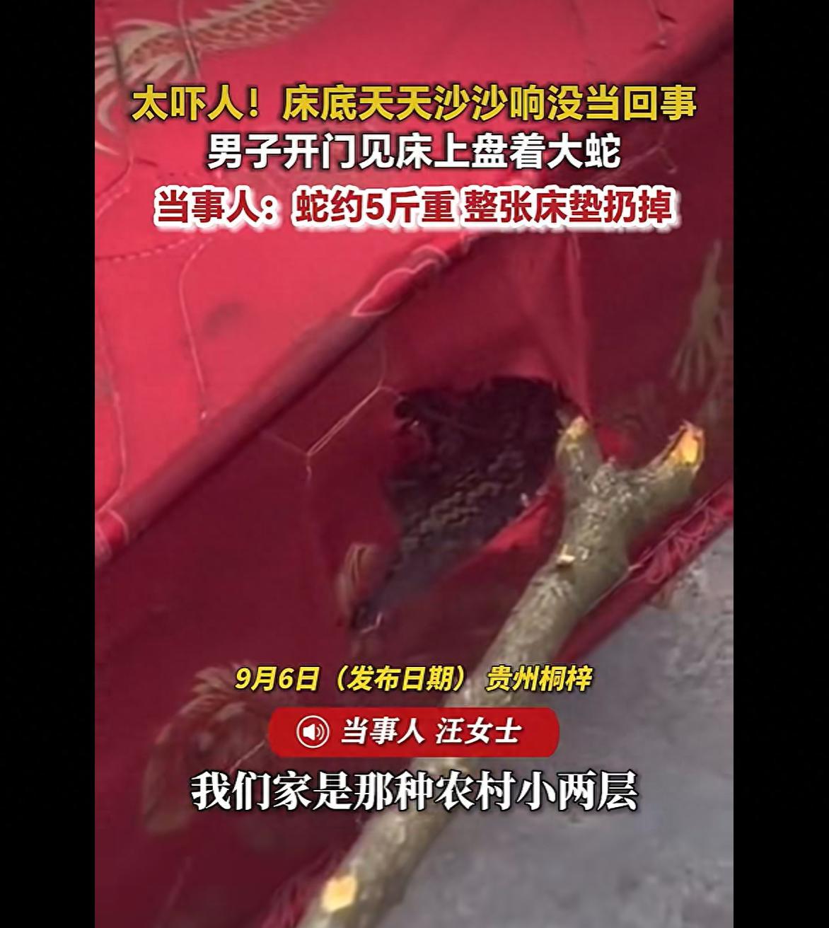 贵州桐梓，一户人家，最近出了件让人头皮发麻的事。
他们家是农村那种自建的两层小楼