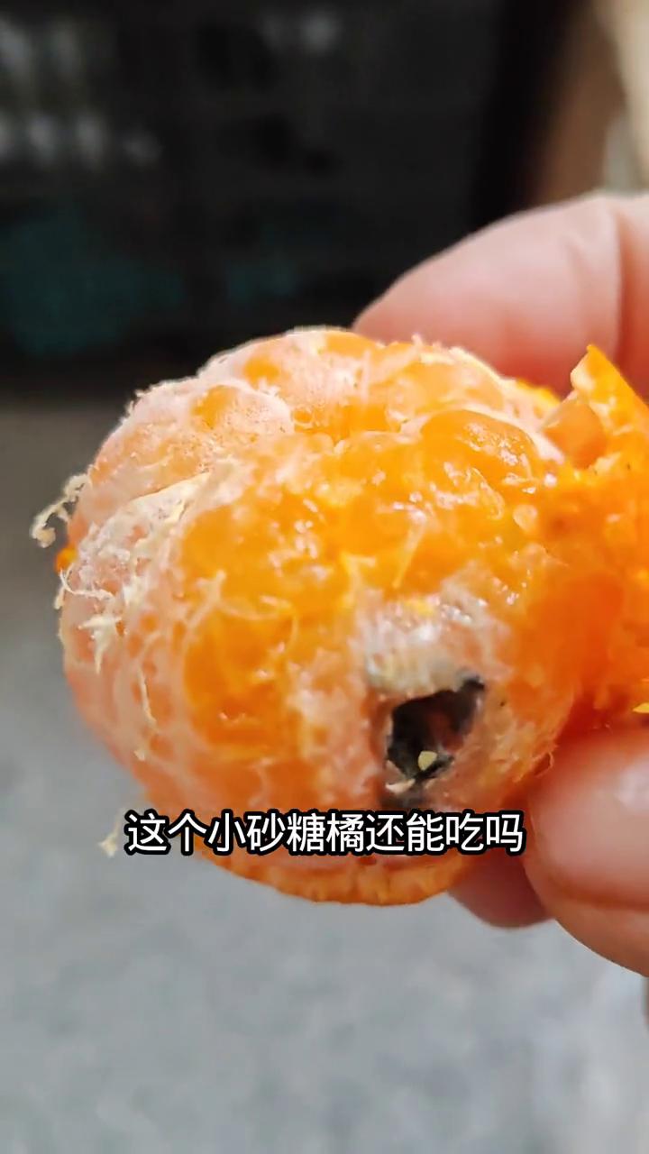这个小砂糖橘还能吃吗？这个地方烂了一点，扔了可惜了。
