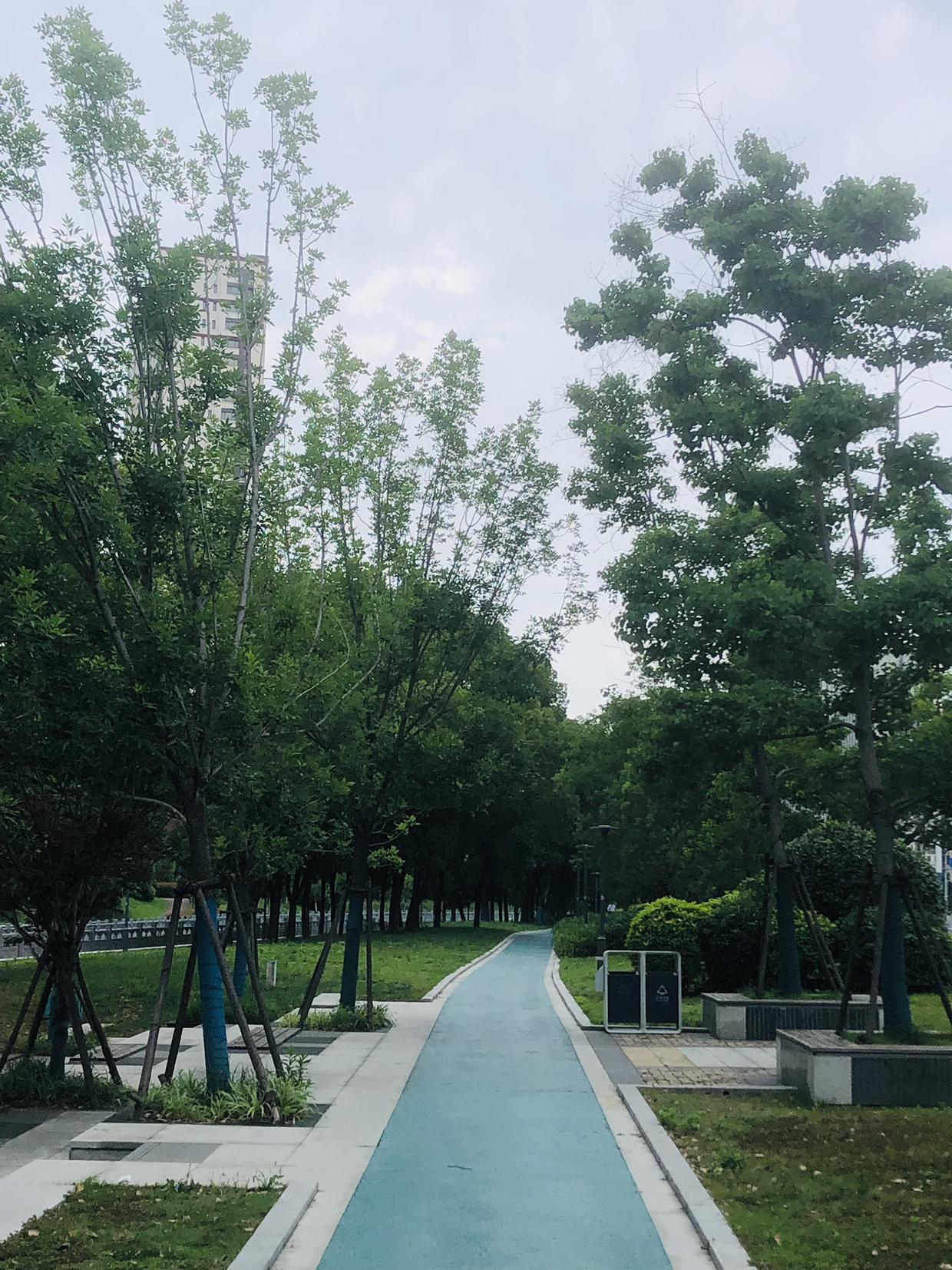 我的今日状态：😁轻松愉快
我这里的天气：☀️晴天
常州今天天气温润舒适，气温不
