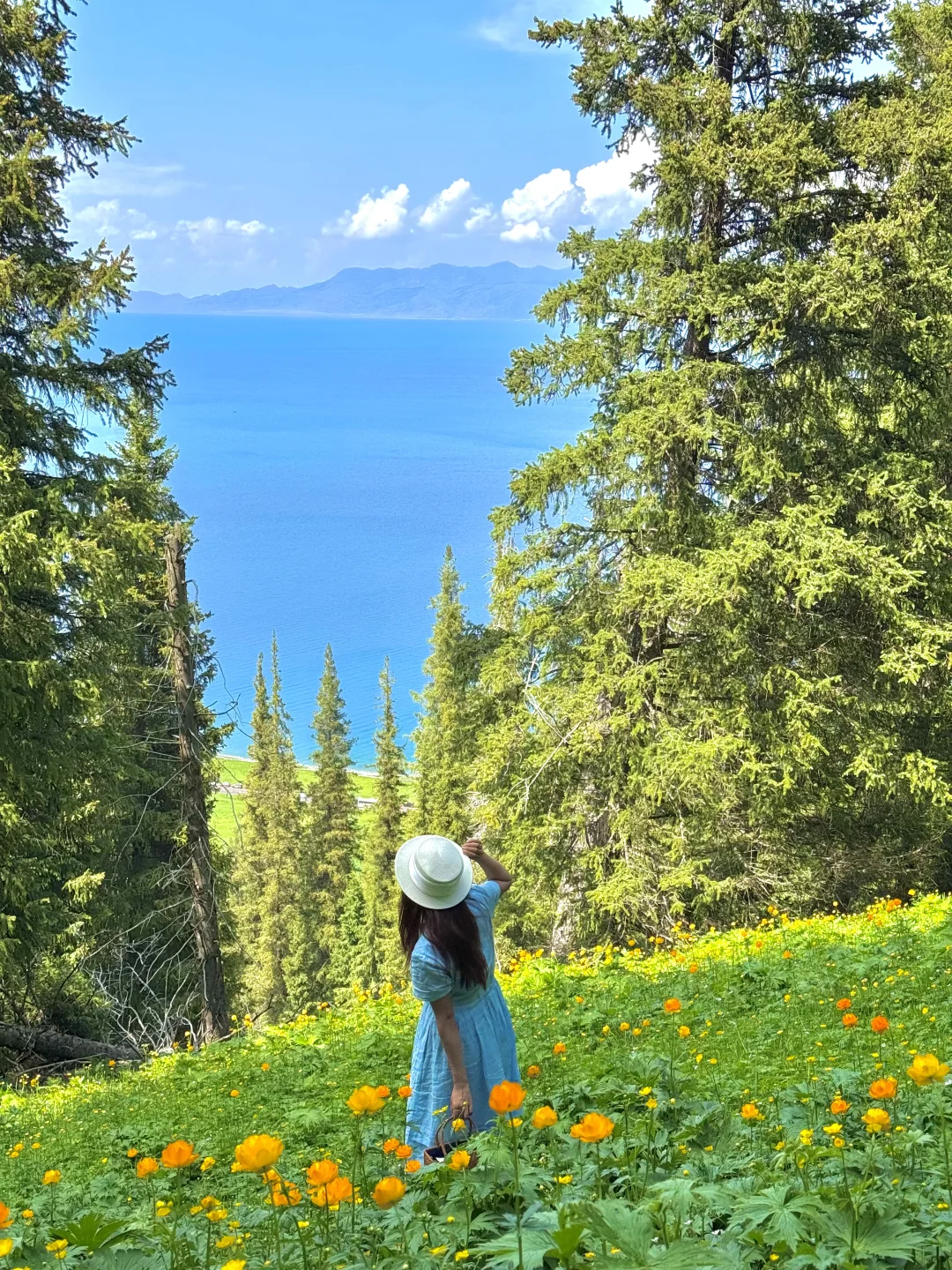 在新疆拍到的18张我的人生live～🌈