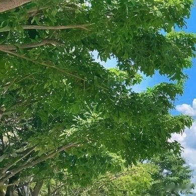 每一处风景都是生命的驿站，用乐观的心看待万物，心则如山花般烂漫。 知足且坚定，温