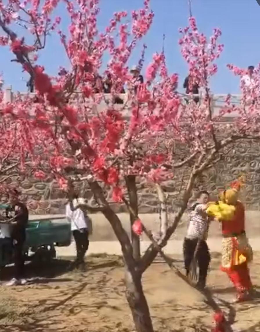 也不知道是悟空把游客惹了，还是游客把悟空惹了。反正两个人就打起来了。游客捡了根木