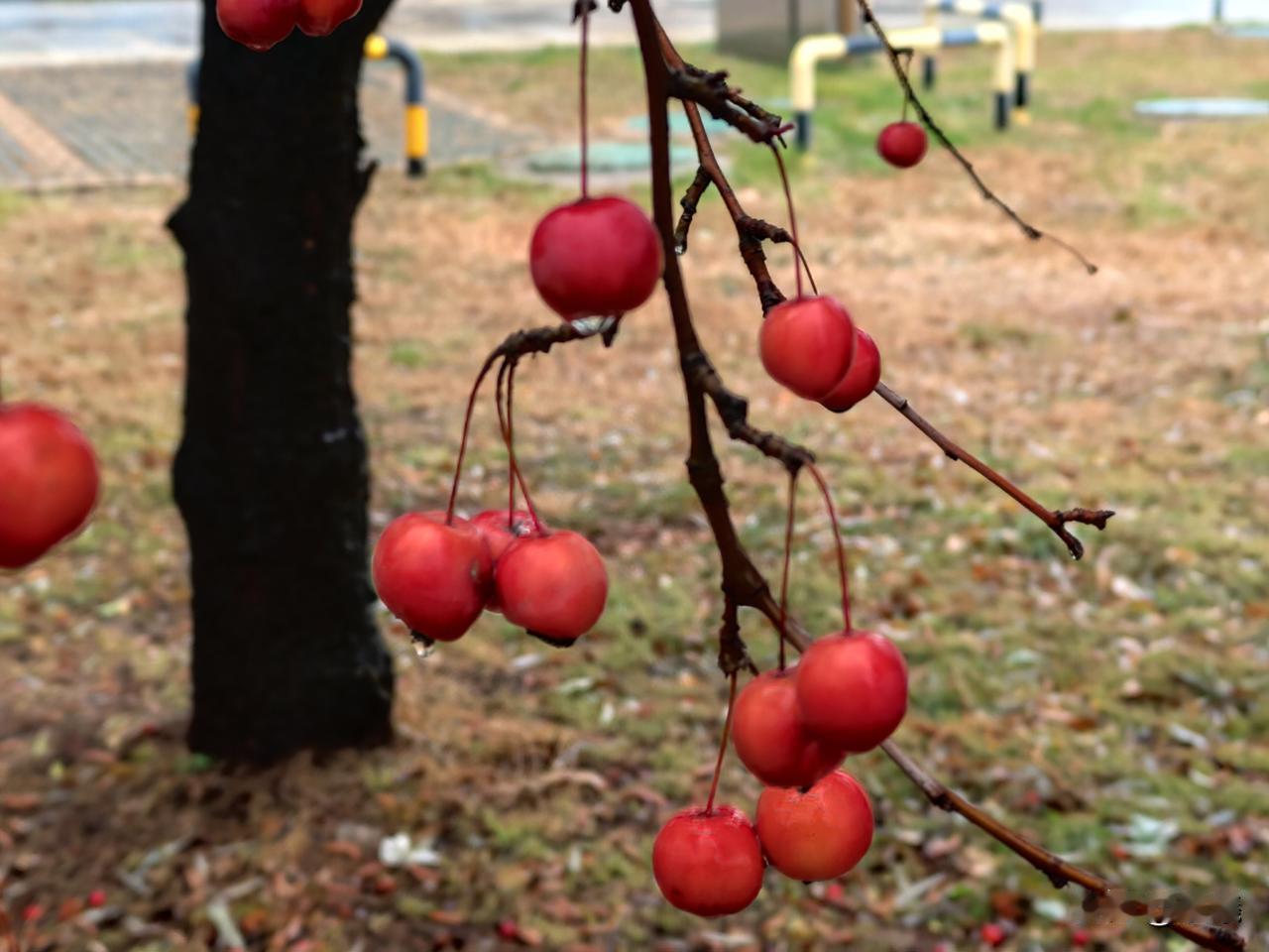 又是一年，时间过得真快，仿佛有很多事情还没有做，一转眼又是一年。
2025年，或