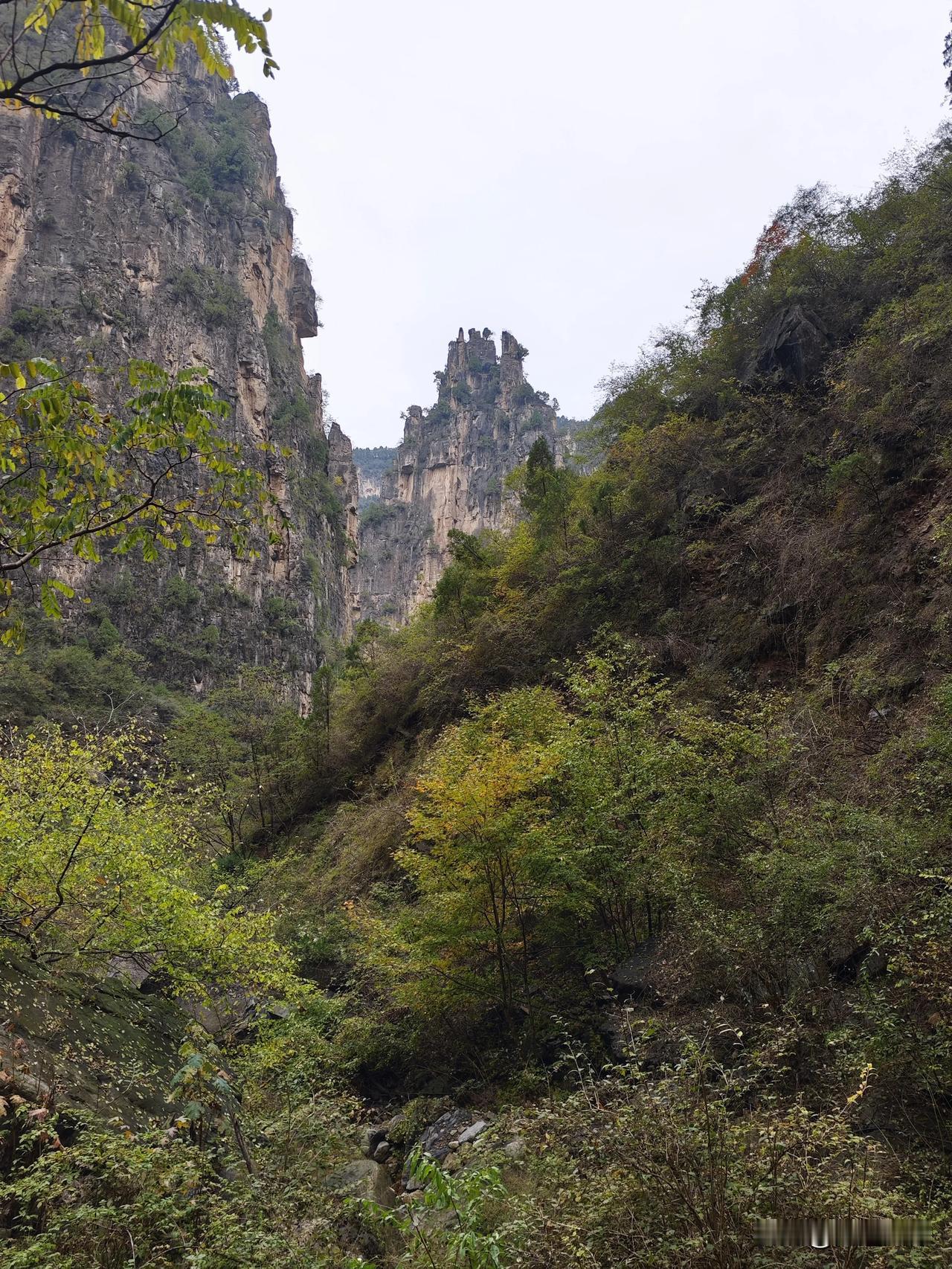 三天两夜，南太行自驾，带你看不同的秋！
今年秋季南太行雨水多，阳光照射少，导致南