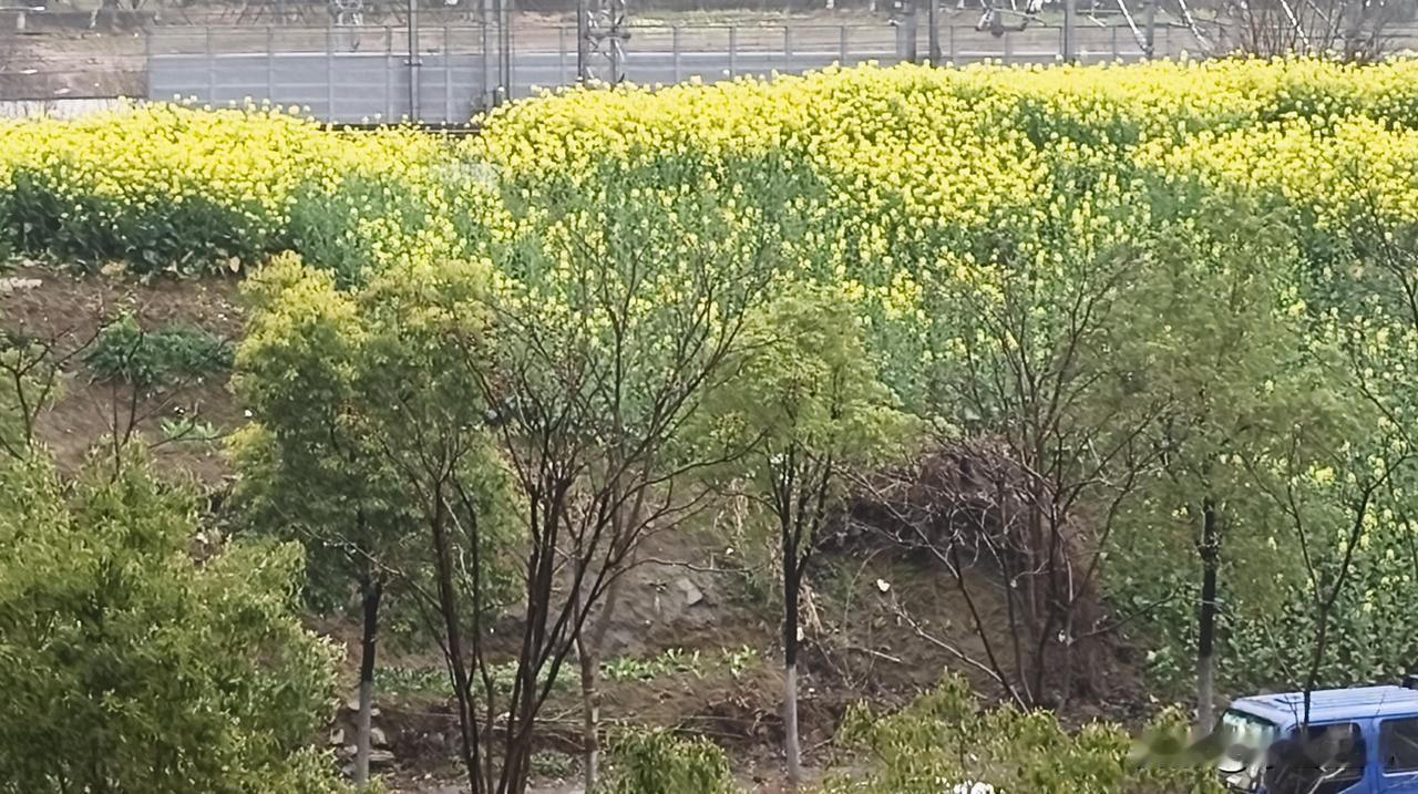 这天气反了吧？春节前后温度达到二十几度，出去大街上都能看到穿短袖的了，可只从年初