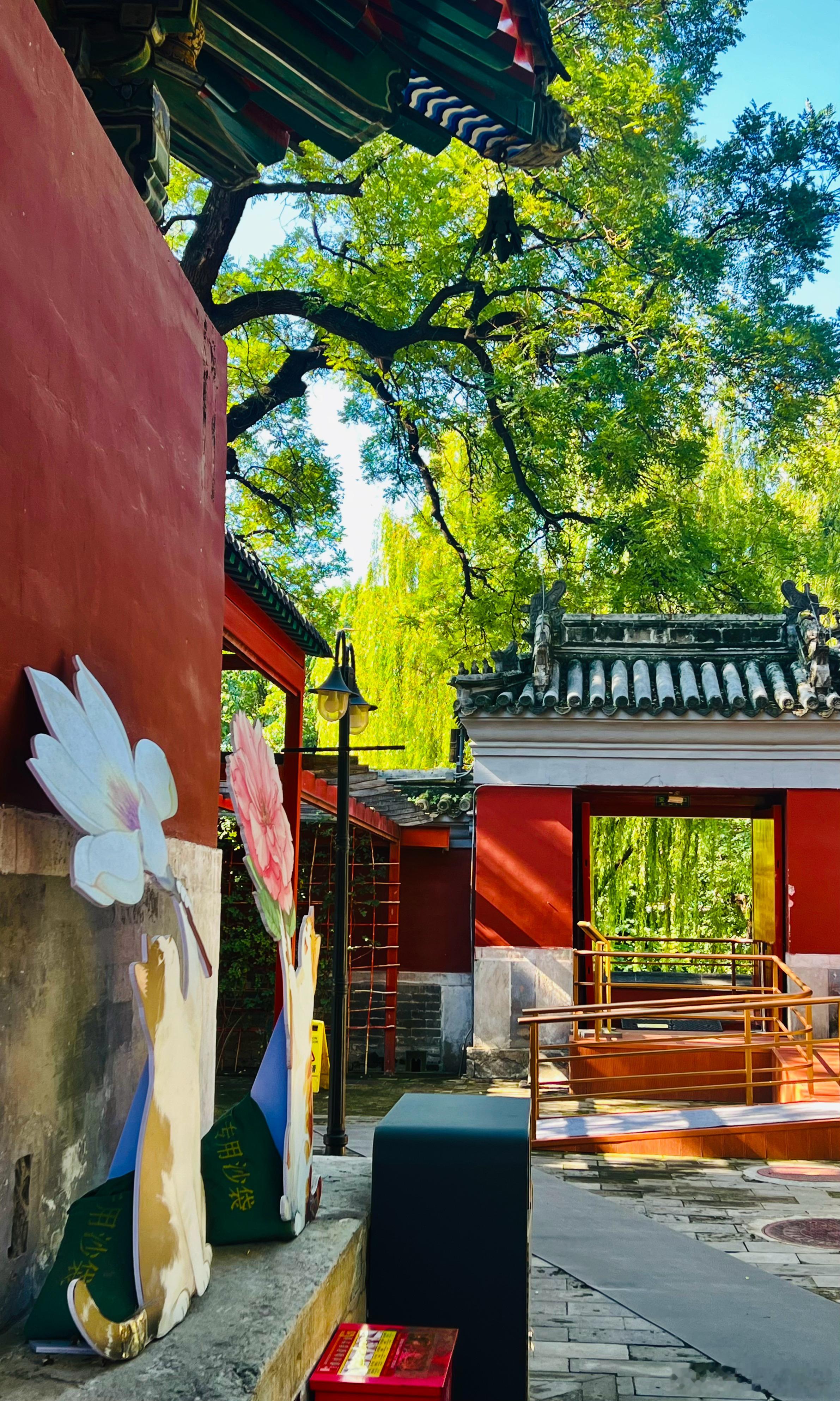大美中国初秋的北京 万寿寺秋色打卡美丽的中国超话