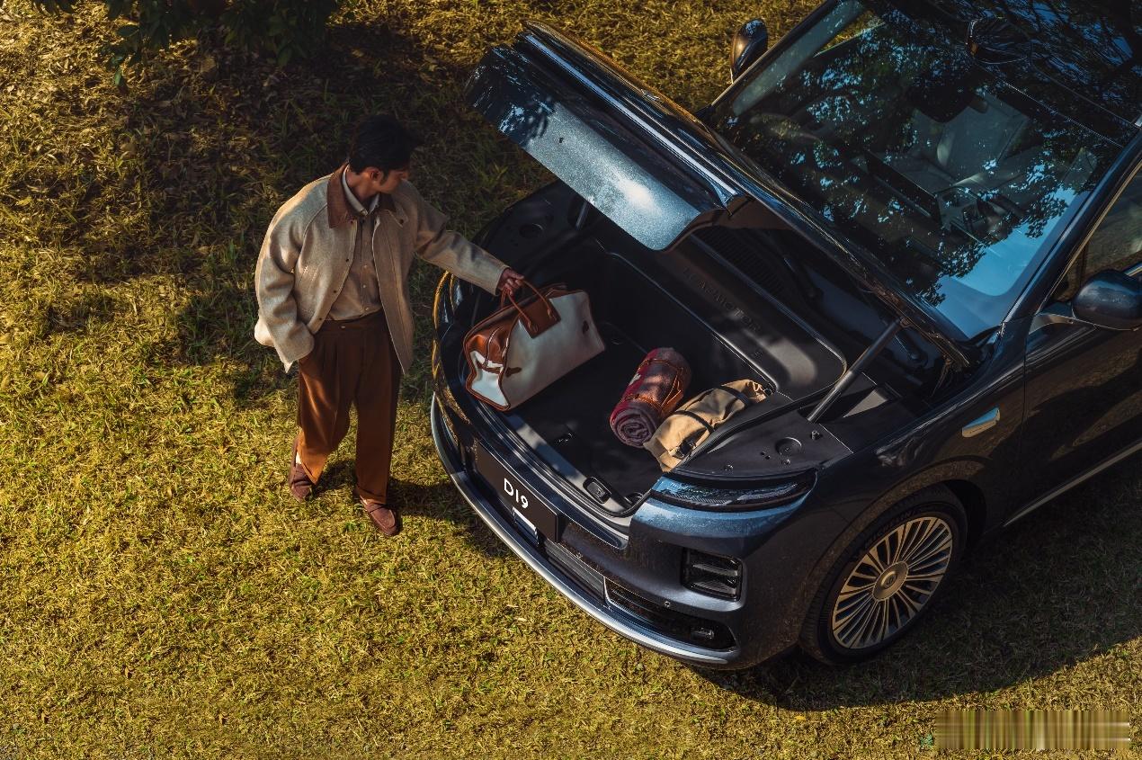 2026年4月16日，零跑旗舰D平台首款车型D19正式上市，售价21.98万至2