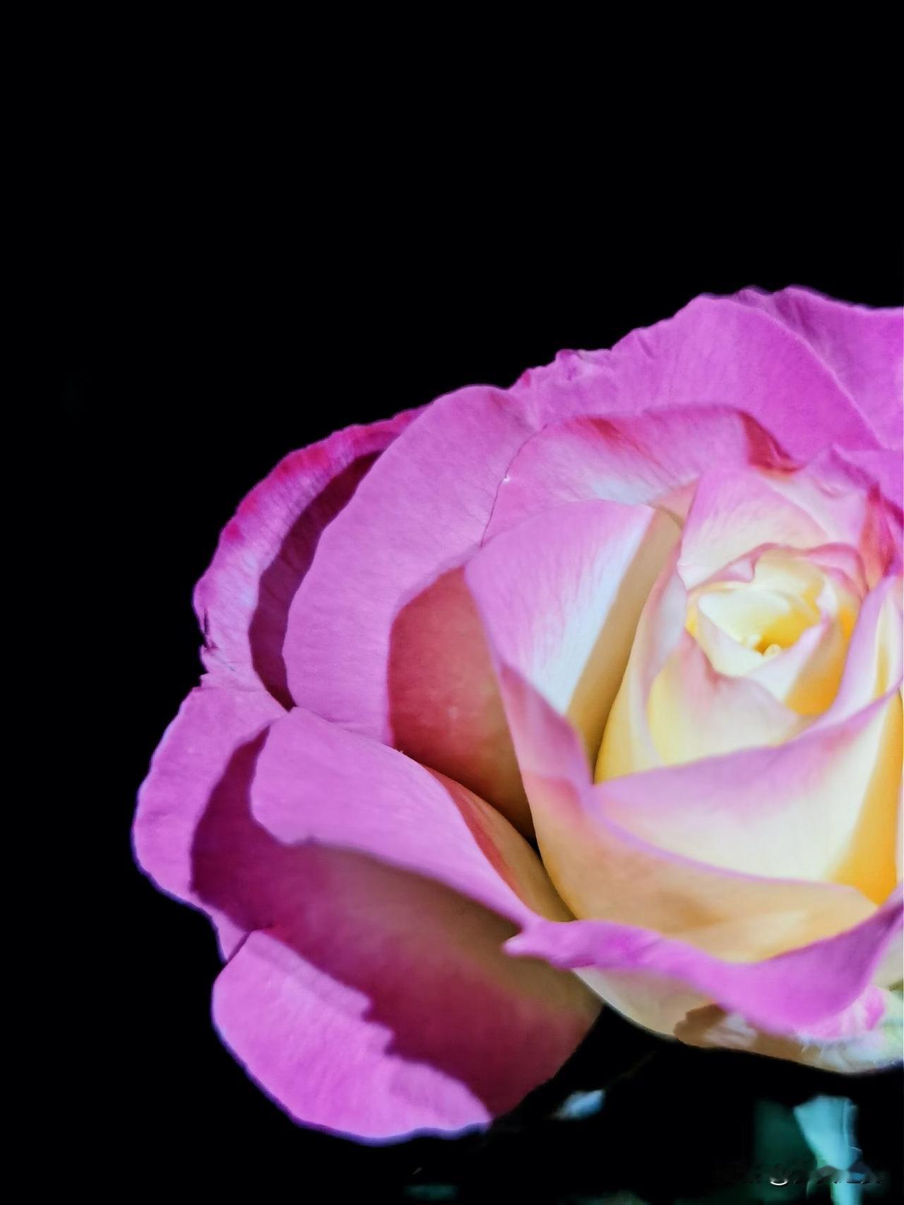 【小对联】
上：……？
下：忠言。