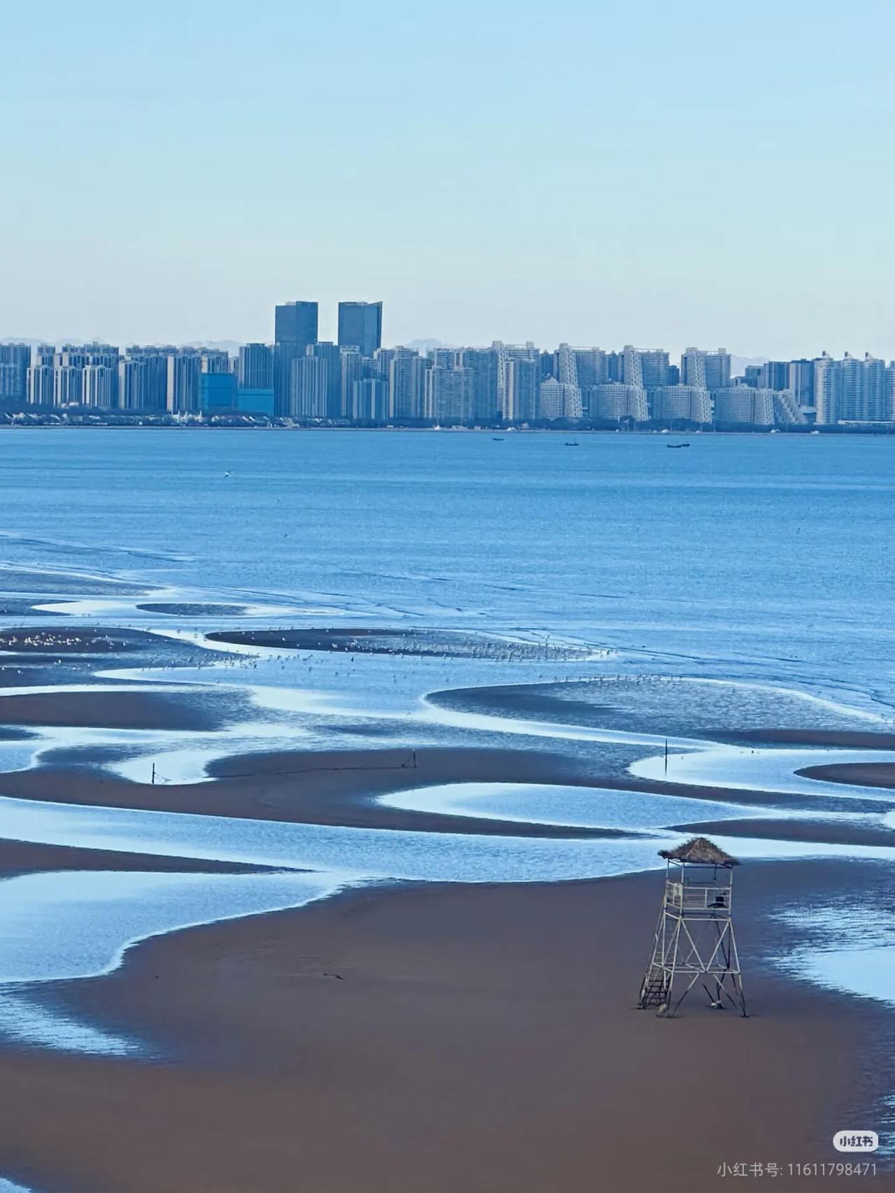 秦皇岛周末两日游｜海边live图简直美爆了🌊
在秦皇岛，总有一只海鸥为你停留