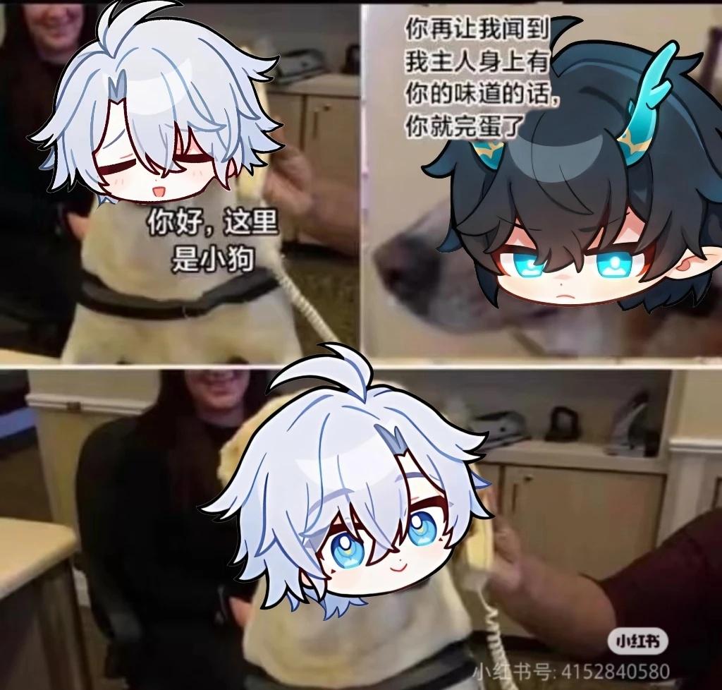 【34/不匿】新p的小白梗图
【不匿】一点新鲜的小白梗图！
稿主@咩咩咩
崩铁纯