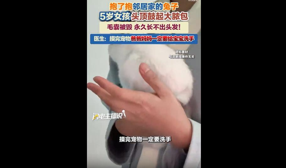 你家里为了孩子养过兔子吗？
很多家长都觉得，兔子温顺干净、不咬人，小孩随便抱完全