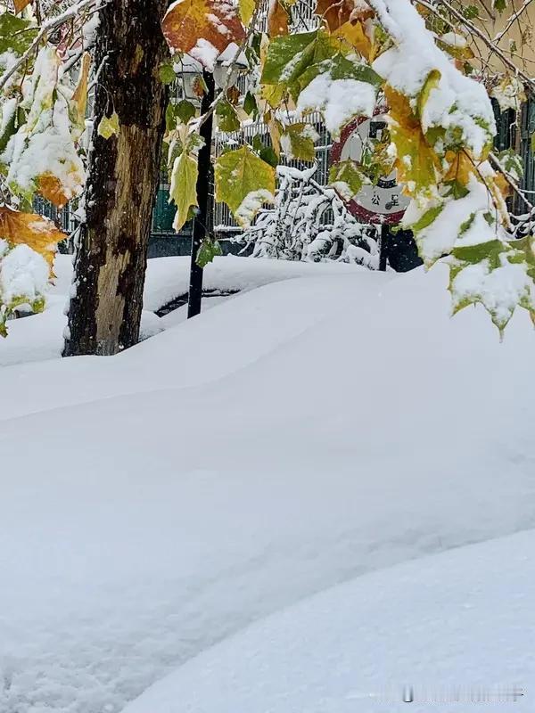 多大的雪才算暴雪 多大的雪才算暴雪，在气象学上有标准。我国以24小时降雪量（雪融