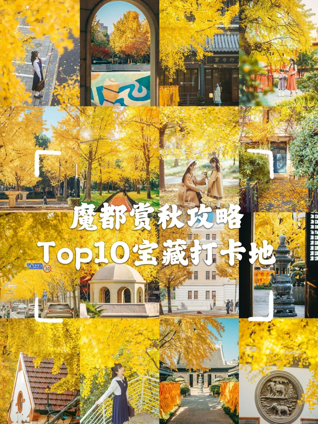 寻找最美秋天！我去过的上海赏秋胜地Top10