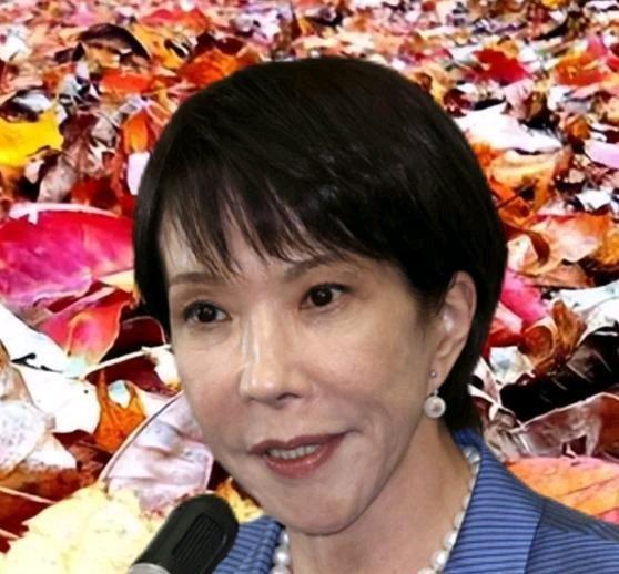 《日本高价收东北落叶，2230一吨，5年收了3万吨！真相终于揭露！》播放量：11