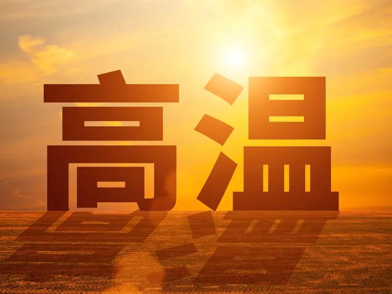 · 🌽 夏玉米：面临“高温热害”高风险。山东是产粮大省，玉米产量占全国10%。