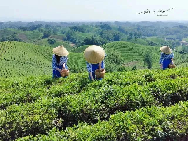 河南省唯一的“南方城市”，冬天不集中供暖，当地人更喜欢吃米饭？

这里是刘小顺的