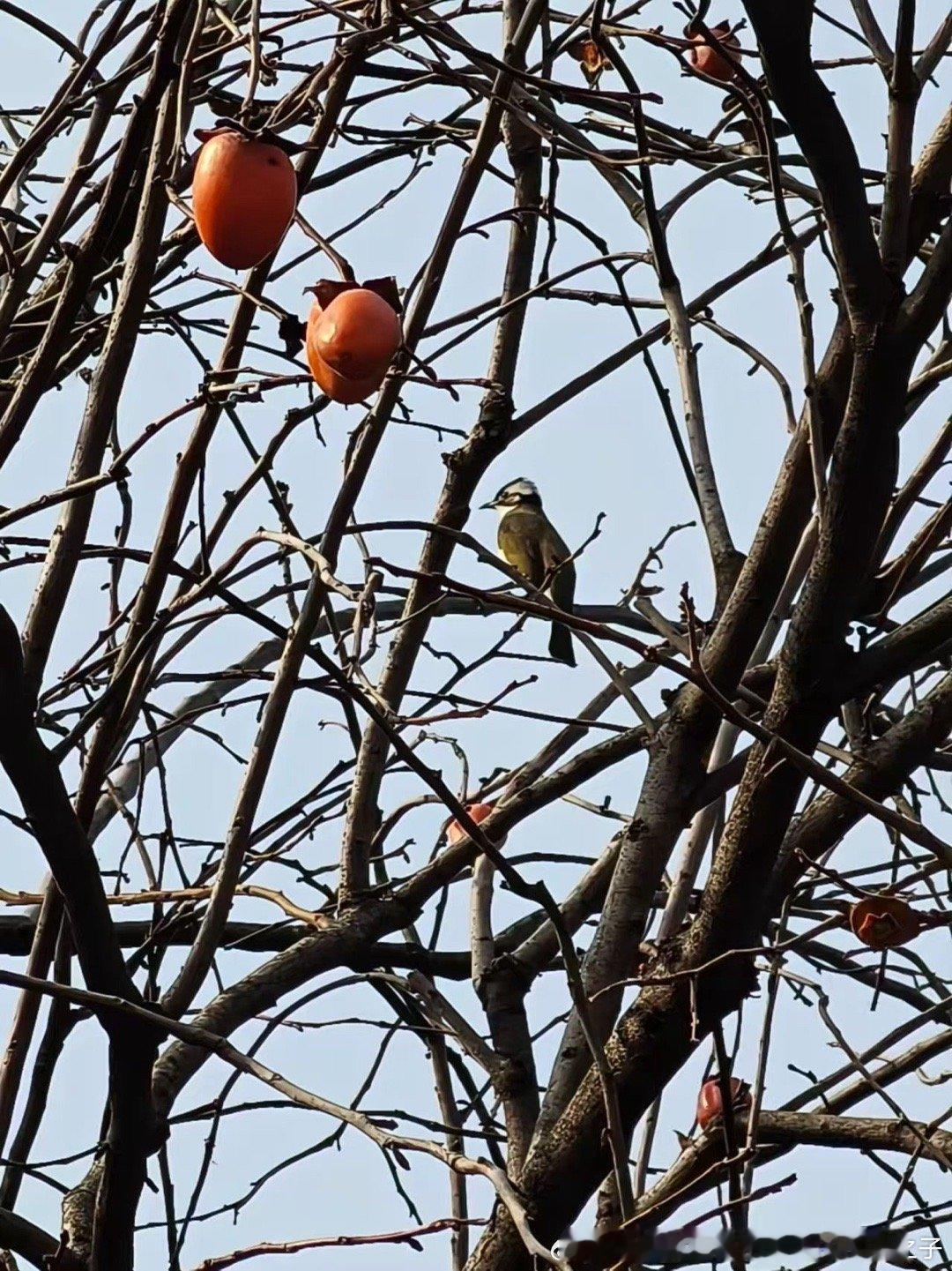 最珍贵的自由，是无论张开还是收拢羽翼，整片天空一直为你等候。 