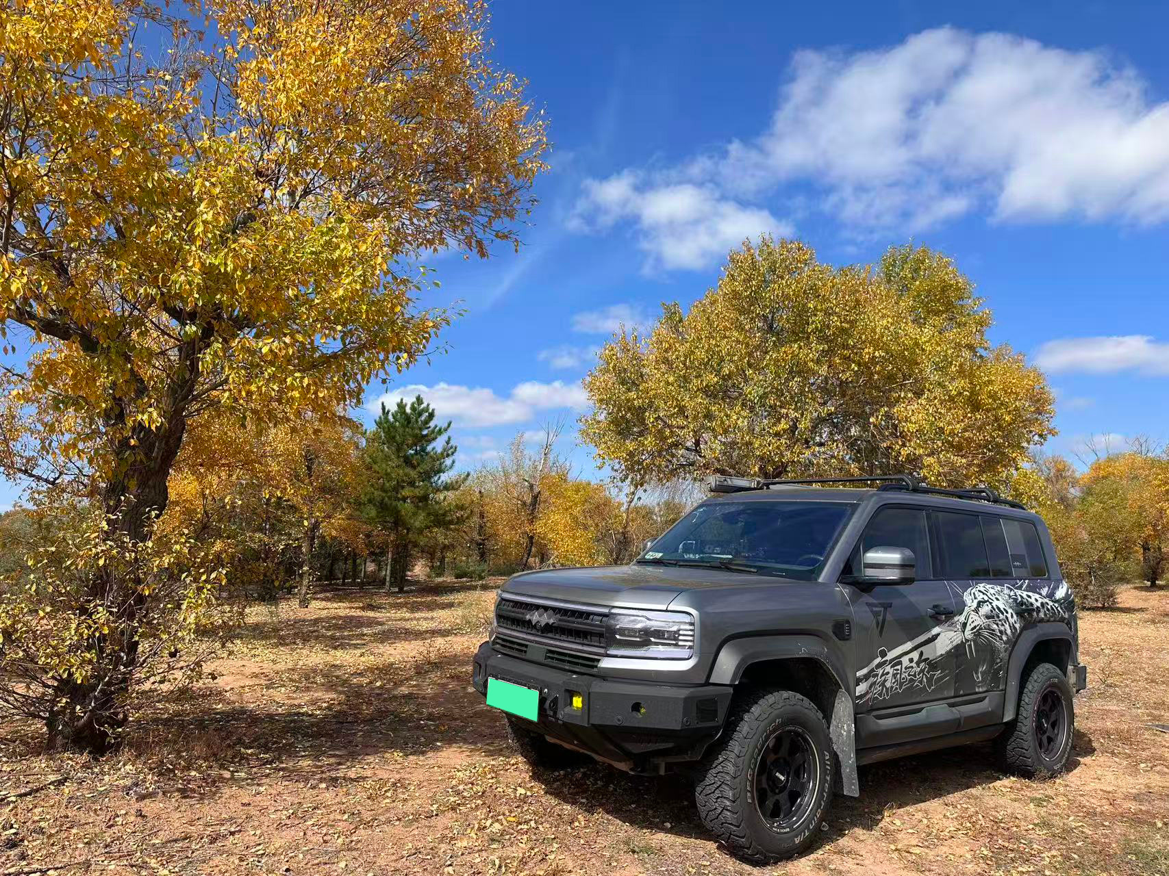 豹5我们公司同事就有一台，走南闯北，沙漠救援，周末带娃，都靠它！是一台实实在在可