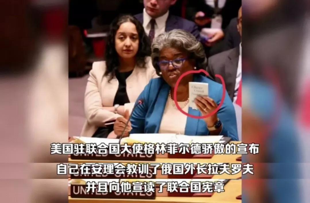 世界上没资格拿《联合国宪章》说话的就是美国[擦汗]却恬不知耻地举着联合国宪章教训