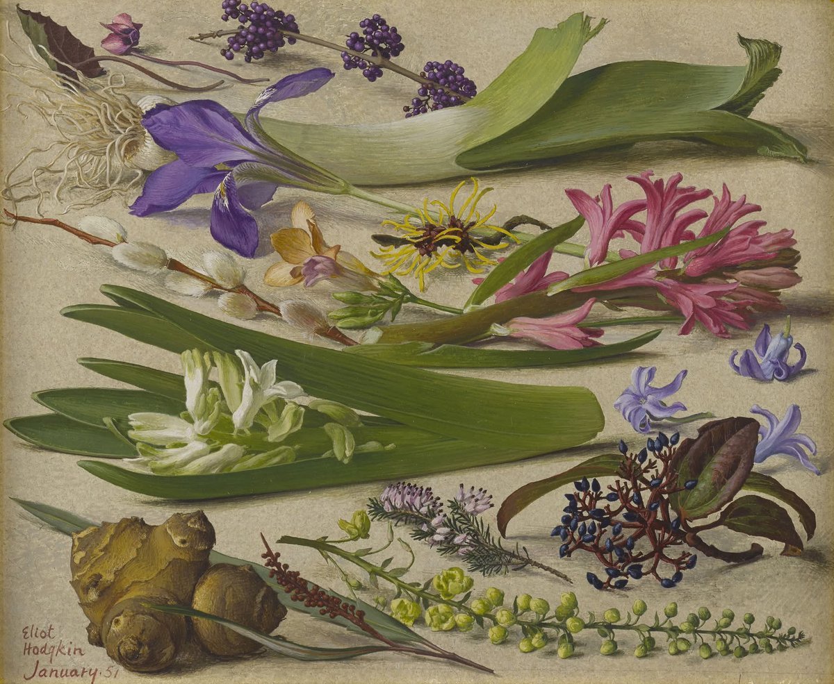 January, 1951Eliot Hodgkin (1905-1987) 英