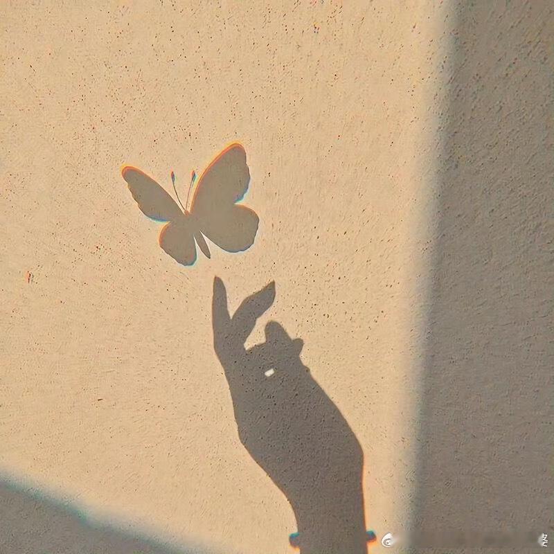 陈震回应被全平台禁言这两年他也是赚疯了，应该停一停，休息一下了。 