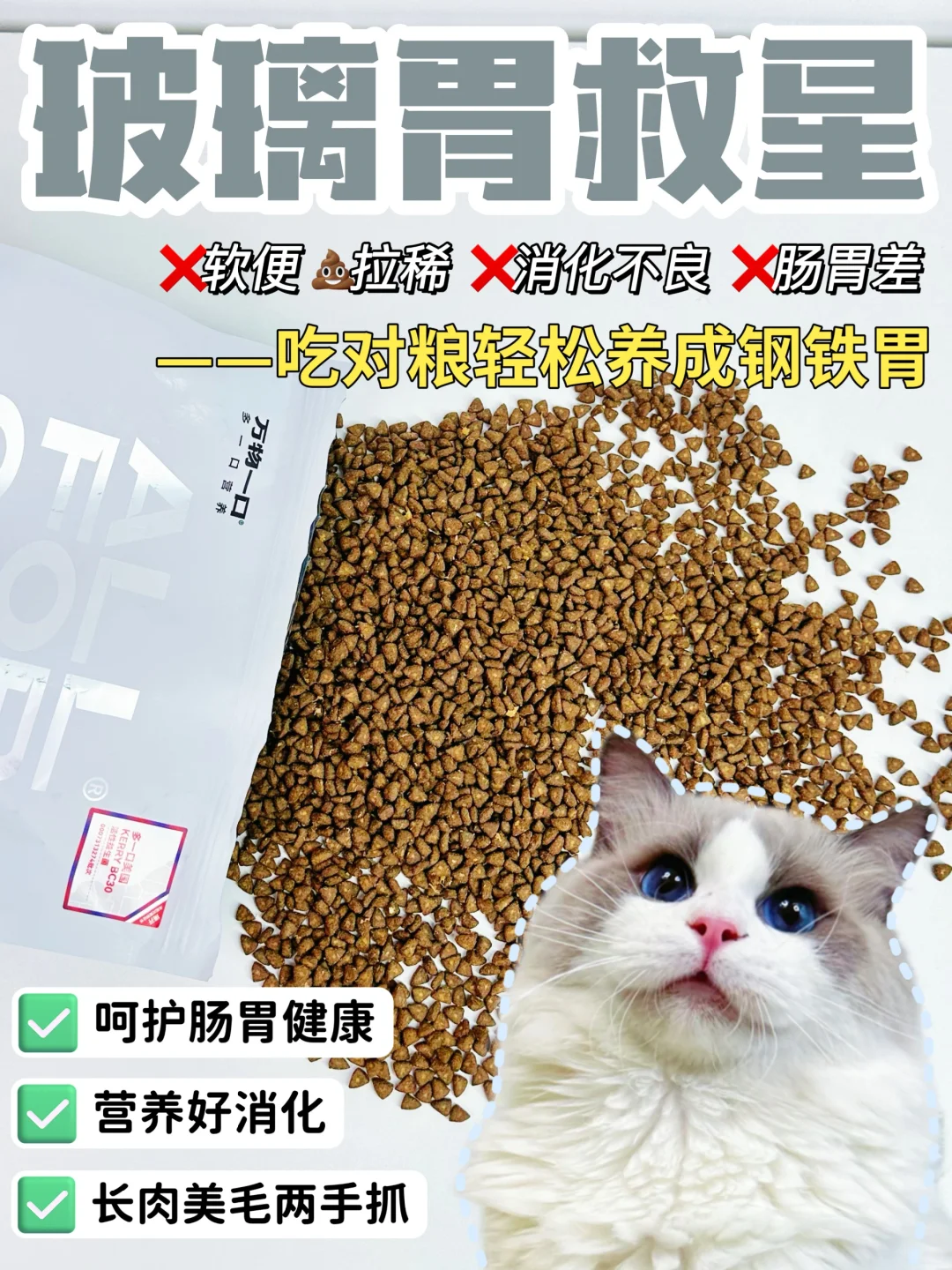 玻璃胃救星！布偶猫喂养真的很简单！！！