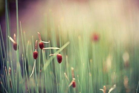 Happiness is to find someone who can giv