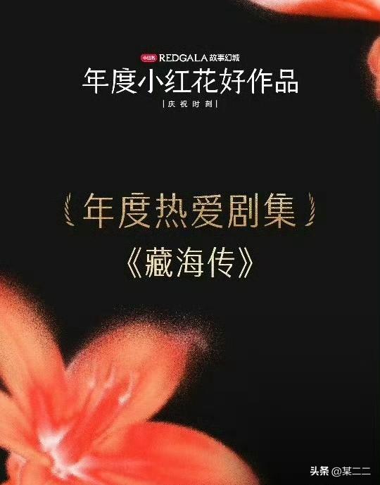 肖战的现象级大爆剧藏海传，今晚又获得了小红薯REDGALA之夜的［小红花·年度热