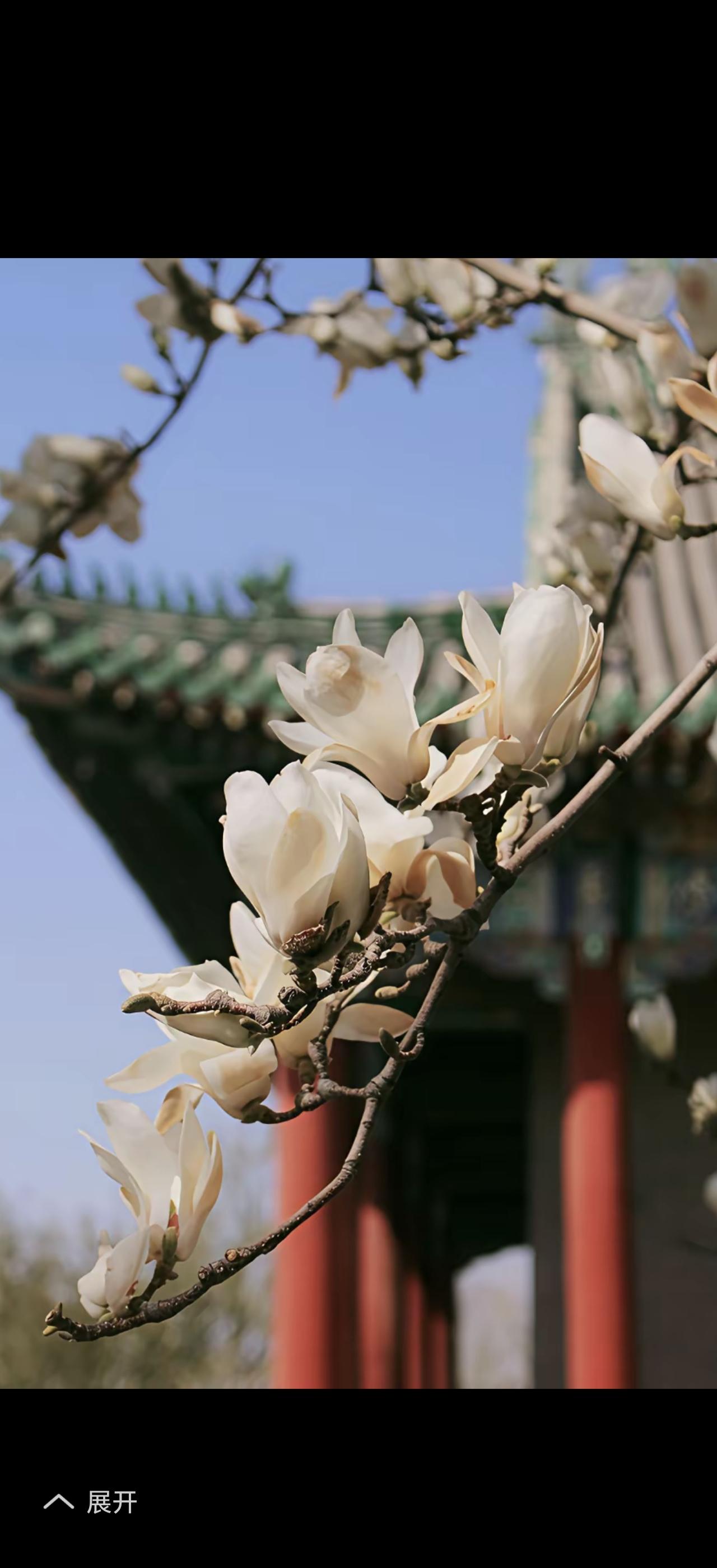 春天来了，万物复苏